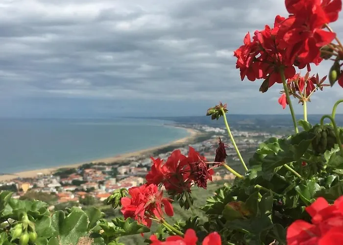 Apartment La Perla Del Mare Casalbordino